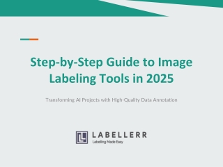 Step-by-Step Guide to Image Labeling Tools in 2025