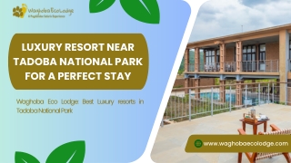 luxury resort near tadoba national park for a perfect stay