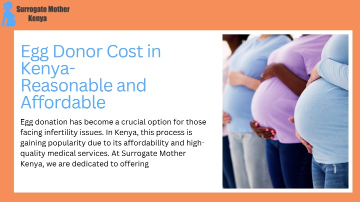 egg donor cost in kenya reasonable and affordable