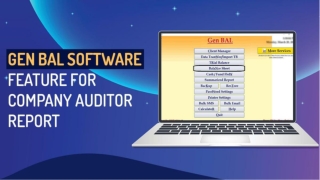 Comprehensive Guide to Company Auditor Reports Using Gen Balance Sheet Software