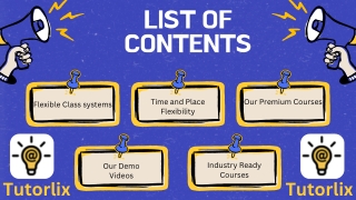 Tutorlix website