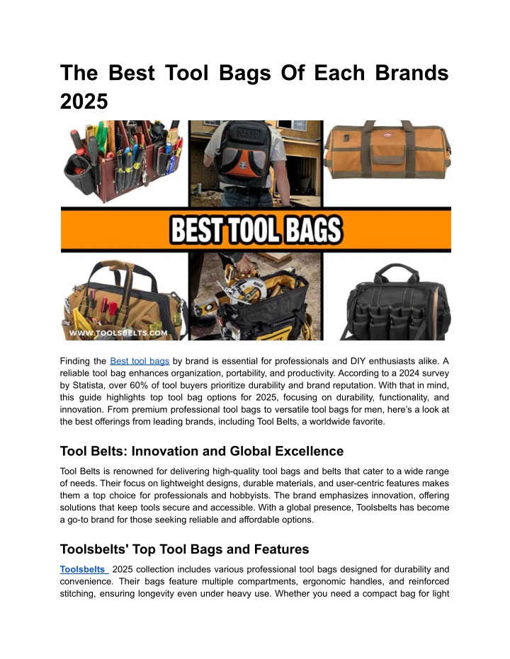 the best tool bags of each brands 2025