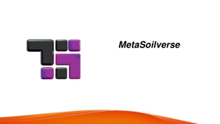 Metaverse Virtual World  Metasoilverse.com