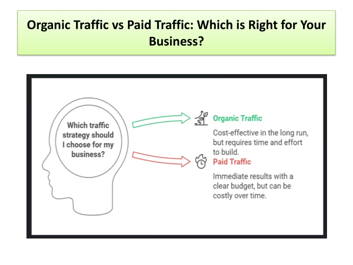 organic traffic vs paid traffic which is right for your business