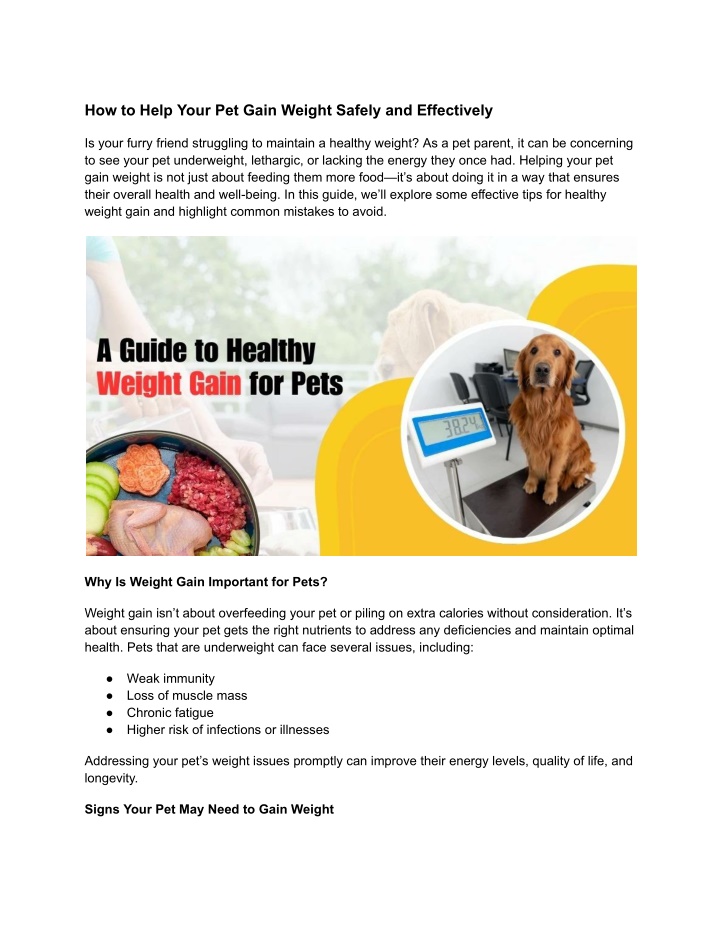 how to help your pet gain weight safely