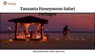 Tanzania Honeymoon Safari Packages