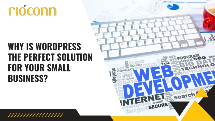 why is wordpress the perfect solution for your