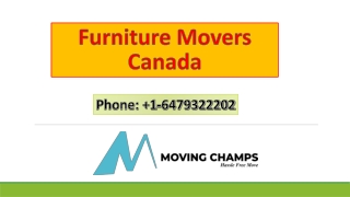 Furniture Movers Canada