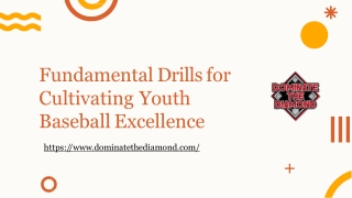 Fundamental Drills for Cultivating Youth Baseball Excellence