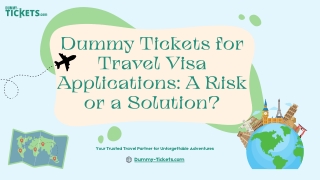 Dummy Tickets for Travel Visa Applications: A Risk or a Solution?