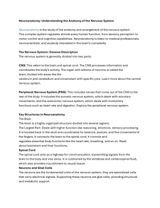 Neuroanatomy: Understanding the Anatomy of the Nervous System