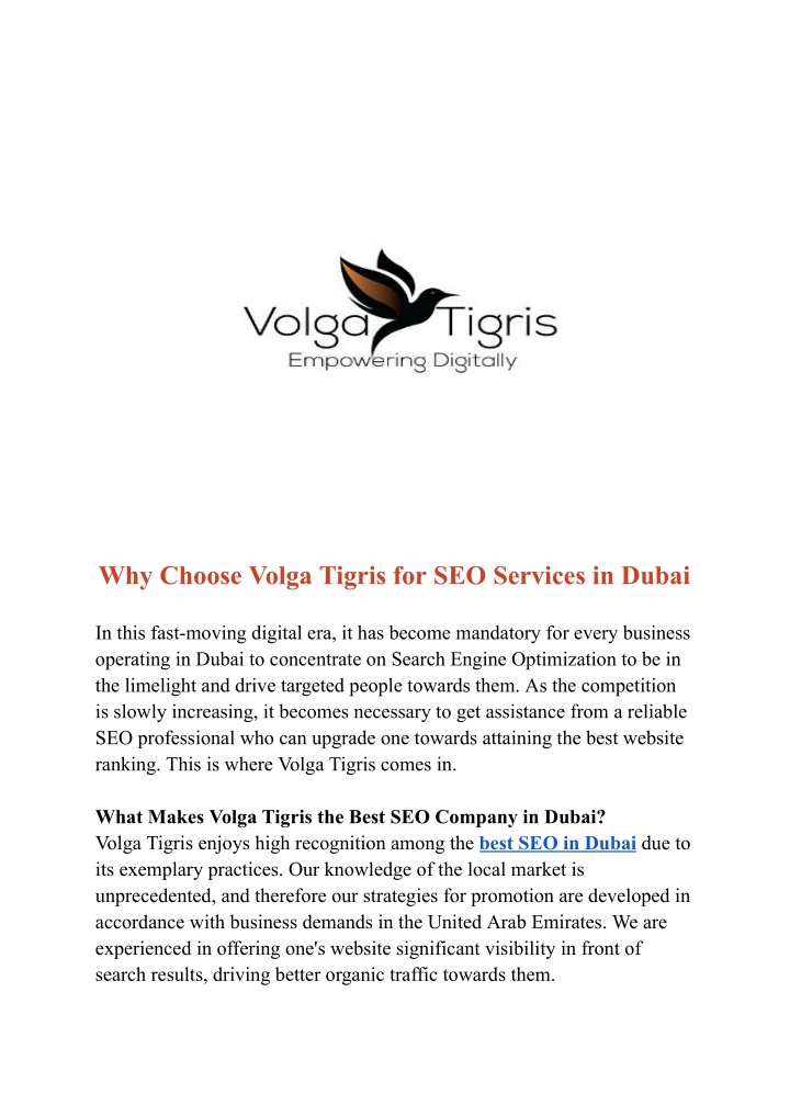 why choose volga tigris for seo services in dubai