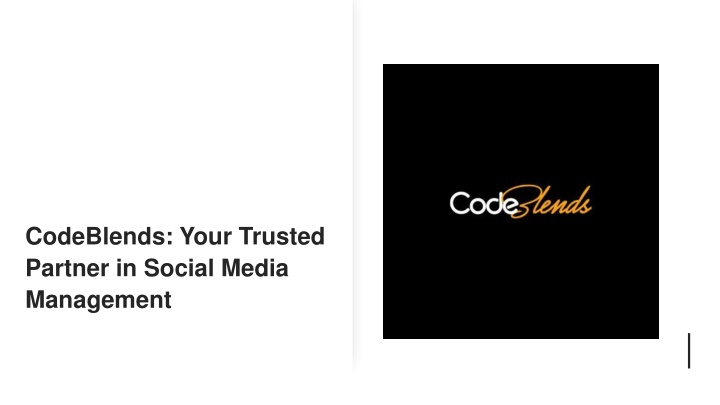 codeblends your trusted partner in social media management