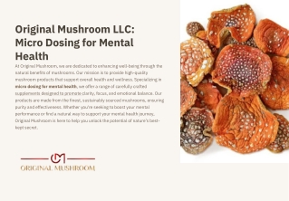 original mushroom llc micro dosing for mental