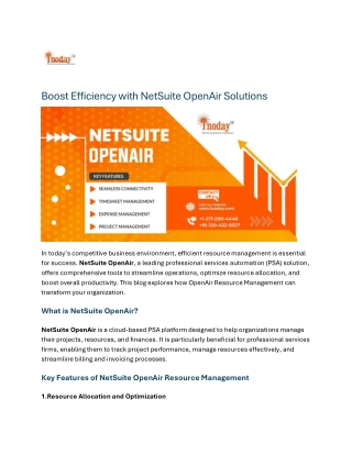 Boost Efficiency with NetSuite OpenAir Solutions