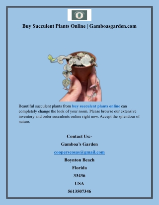 Buy Succulent Plants Online  Gamboasgarden.com