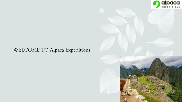 welcome to alpaca expeditions