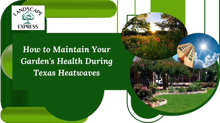 how to maintain your garden s health during texas