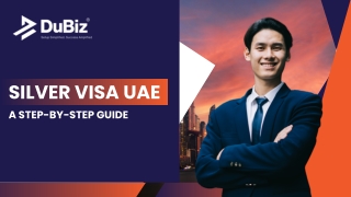 Silver Visa UAE A Step-by-Step Guide