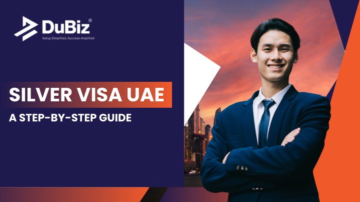 silver visa uae a step by step guide