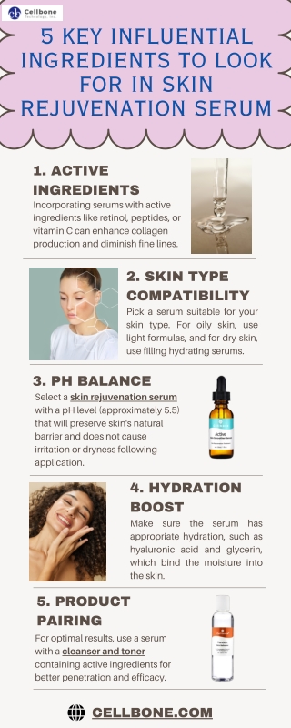 5 Key Influential Ingredients to Look for in Skin Rejuvenation Serum