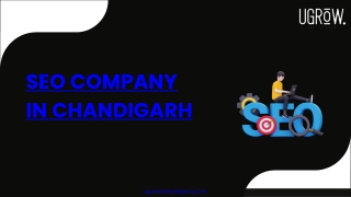 SEO Company In Chandigarh