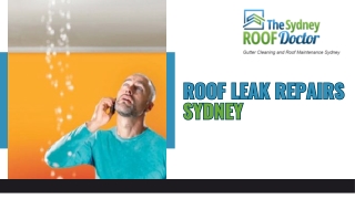 Highly Effective Roof Leak Repair Services| Top-Ranked Roofing Company| Efficien