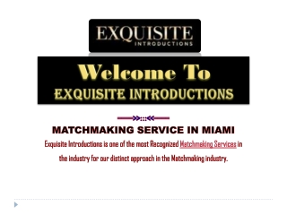 Professional Matchmaking Service In Miami