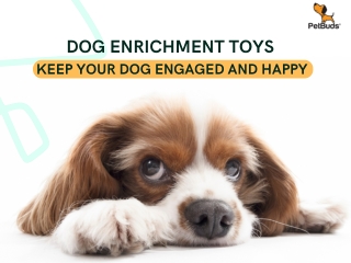 Dog Enrichment Toys Keep Your Dog Engaged and Happy