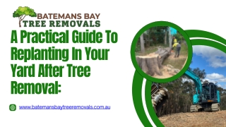 A Practical Guide To Replanting In Your Yard After Tree Removal