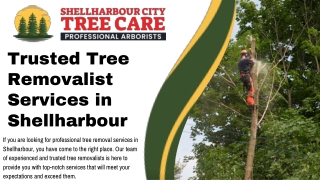 Trusted Tree Removalist Services in Shellharbour