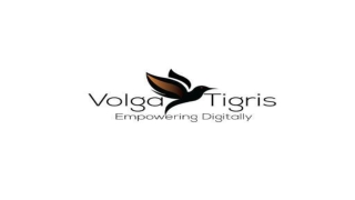 SEO PPTX | volgatigris