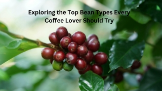 Ethiopian Coffee A Journey Through Flavor