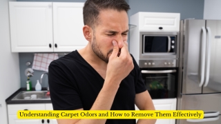 understanding carpet odors and how to remove them