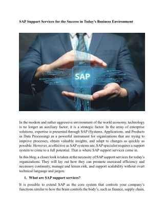 sap support services for the success in today