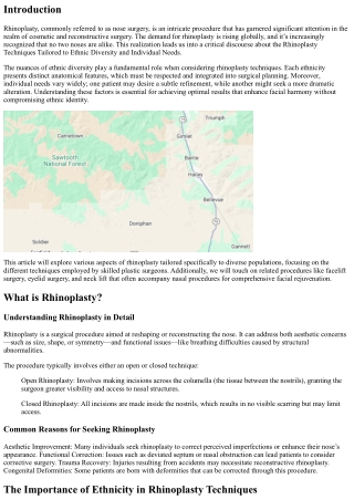 Rhinoplasty Techniques Tailored to Ethnic Diversity and Individual Needs