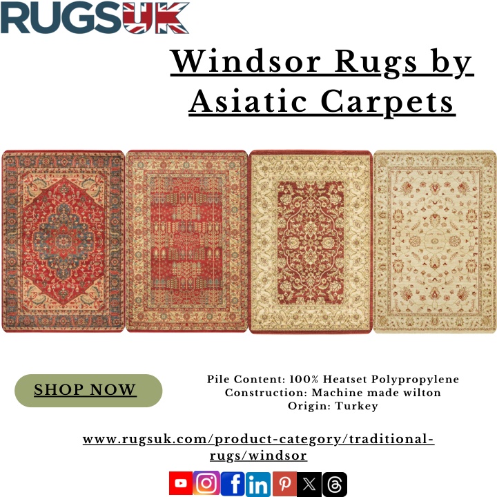 windsor rugs by asiatic carpets