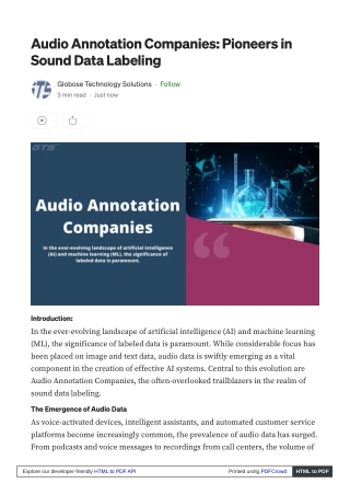 Audio Annotation Companies: Pioneers in Sound Data Labeling