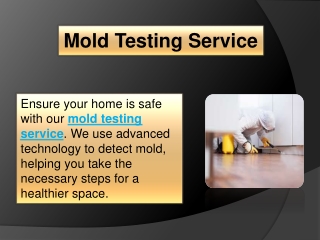 Mold Testing Service