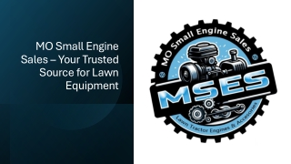 mo small engine sales your trusted source