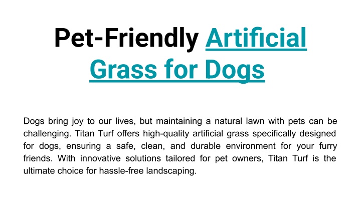 pet friendly artificial grass for dogs