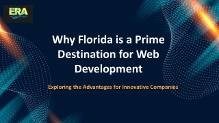 Top Web Development Company in Florida - Era Sky Technologies Private Limited
