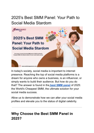 2025's Best SMM Panel- Your Path to Social Media Stardom