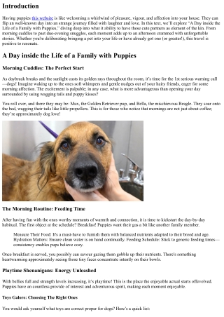 A Day in the Life of a Family with Puppies