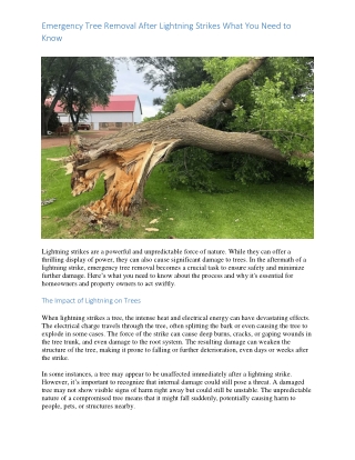 emergency tree removal after lightning strikes