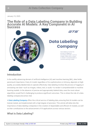 The Role of a Data Labeling Company in Building Accurate AI Models A Key Component in AI Success