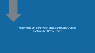 Maximizing Efficiency with Bridge and Gantry Crane Systems for Heavy Lifting