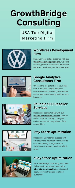 WordPress Development Firm