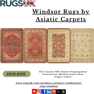 Windsor Rugs by Asiatic Carpets