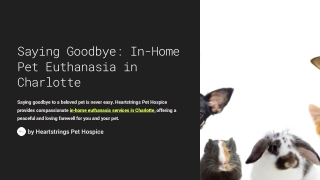 saying goodbye in home pet euthanasia in charlotte